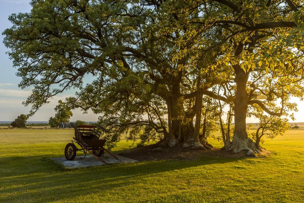 Las Martinas Colonia del Sacramento Eksteriør billede